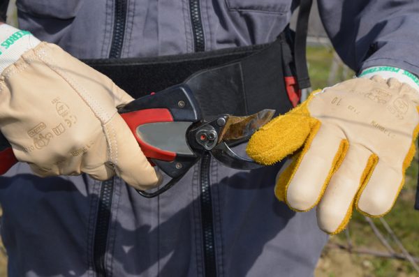 Gant de protection viticulteur coqué pour gaucher – Image 3
