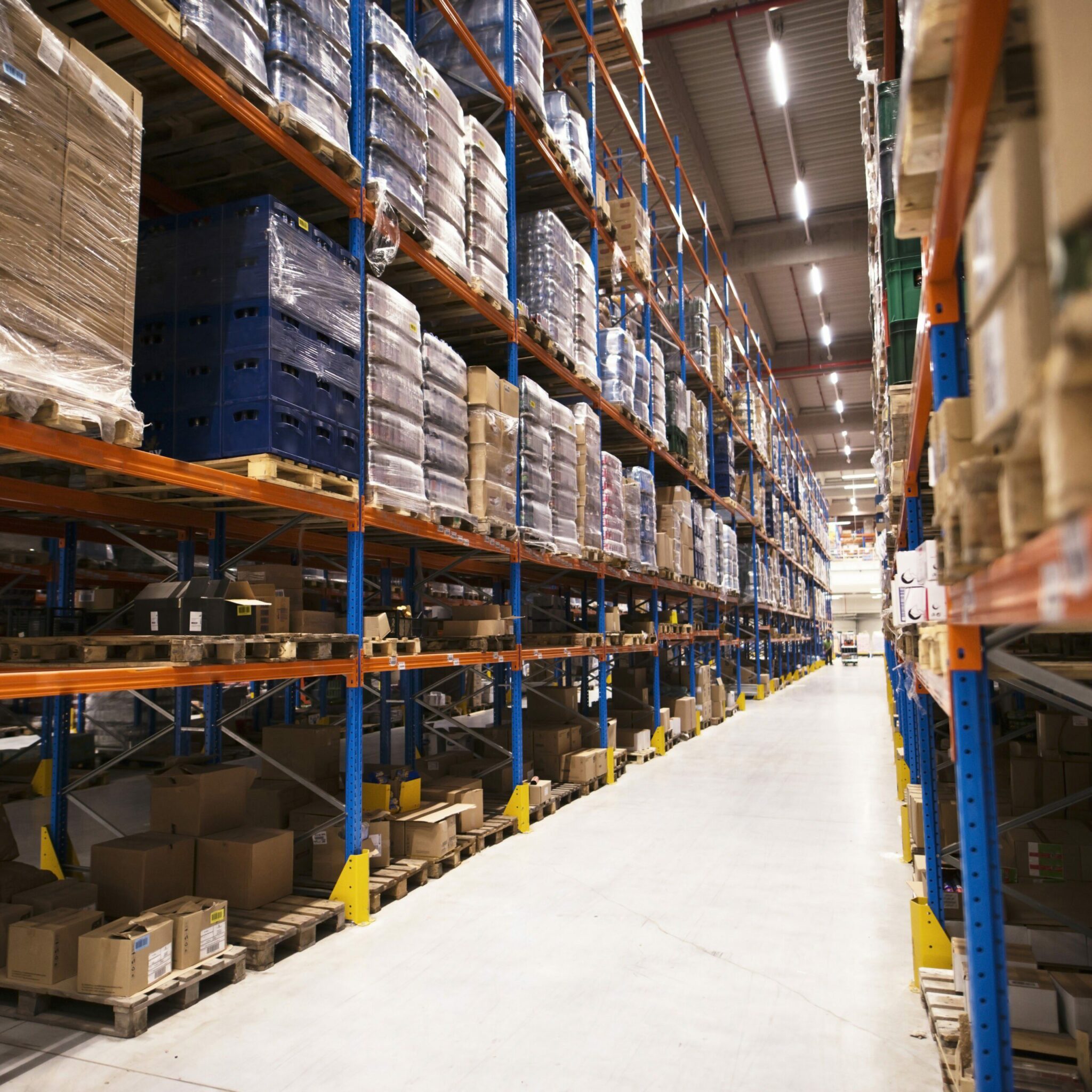 ASTA RAYONNAGE 3 scaled